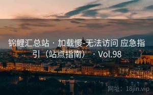 锦鲤汇总站 · 加载慢-无法访问 应急指引（站点指南） · Vol.98