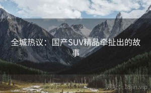 全城热议：国产SUV精品牵扯出的故事