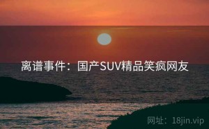 离谱事件：国产SUV精品笑疯网友
