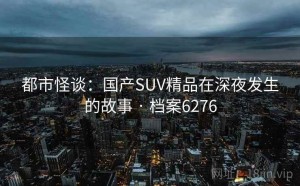 都市怪谈：国产SUV精品在深夜发生的故事 · 档案6276