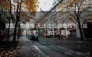 星园 _ 加载慢-无法访问 应急指引（站点指南） _ 2025·更新
