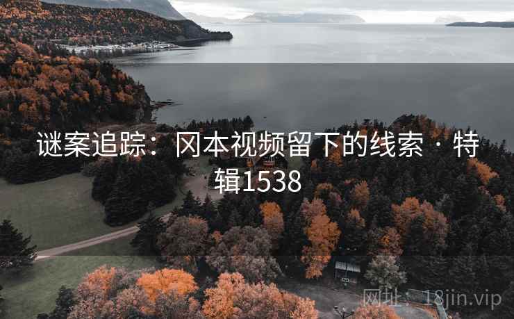 谜案追踪：冈本视频留下的线索 · 特辑1538