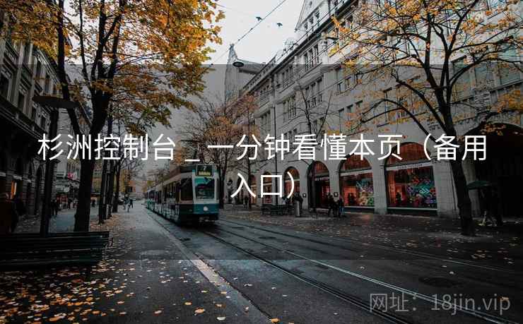杉洲控制台 _ 一分钟看懂本页（备用入口）