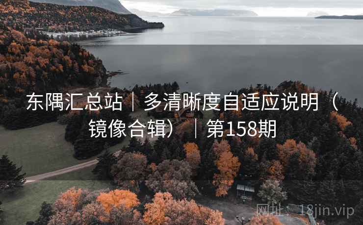 东隅汇总站|多清晰度自适应说明(镜像合辑)|第158期 东隅汇总站|多清晰度自适应说明(镜像合辑)|第158期
